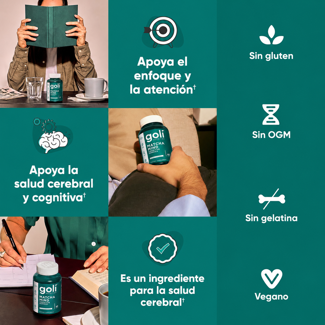 GOMITAS GOLI: ENFOQUE Y CONCENTRACIÓN + ENVÍO GRATIS